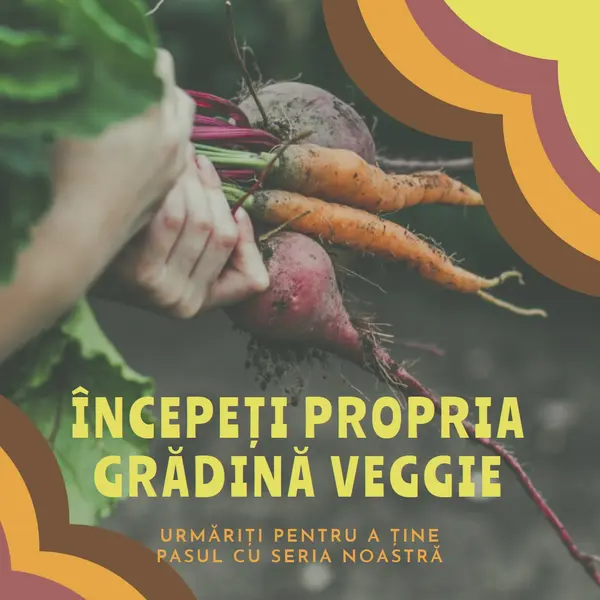 Viață dezrădăcinată orange vintage-retro