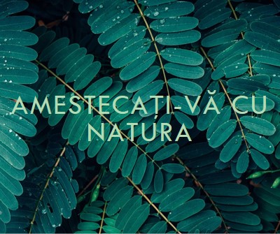 Amestecați-vă cu natura green modern-simple