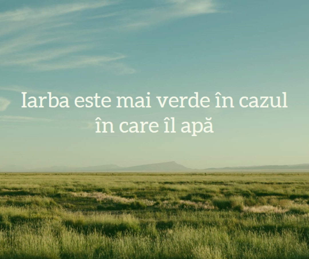 Natură mai bună blue modern-simple