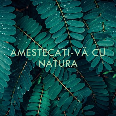 Amestecați-vă cu natura green modern-simple