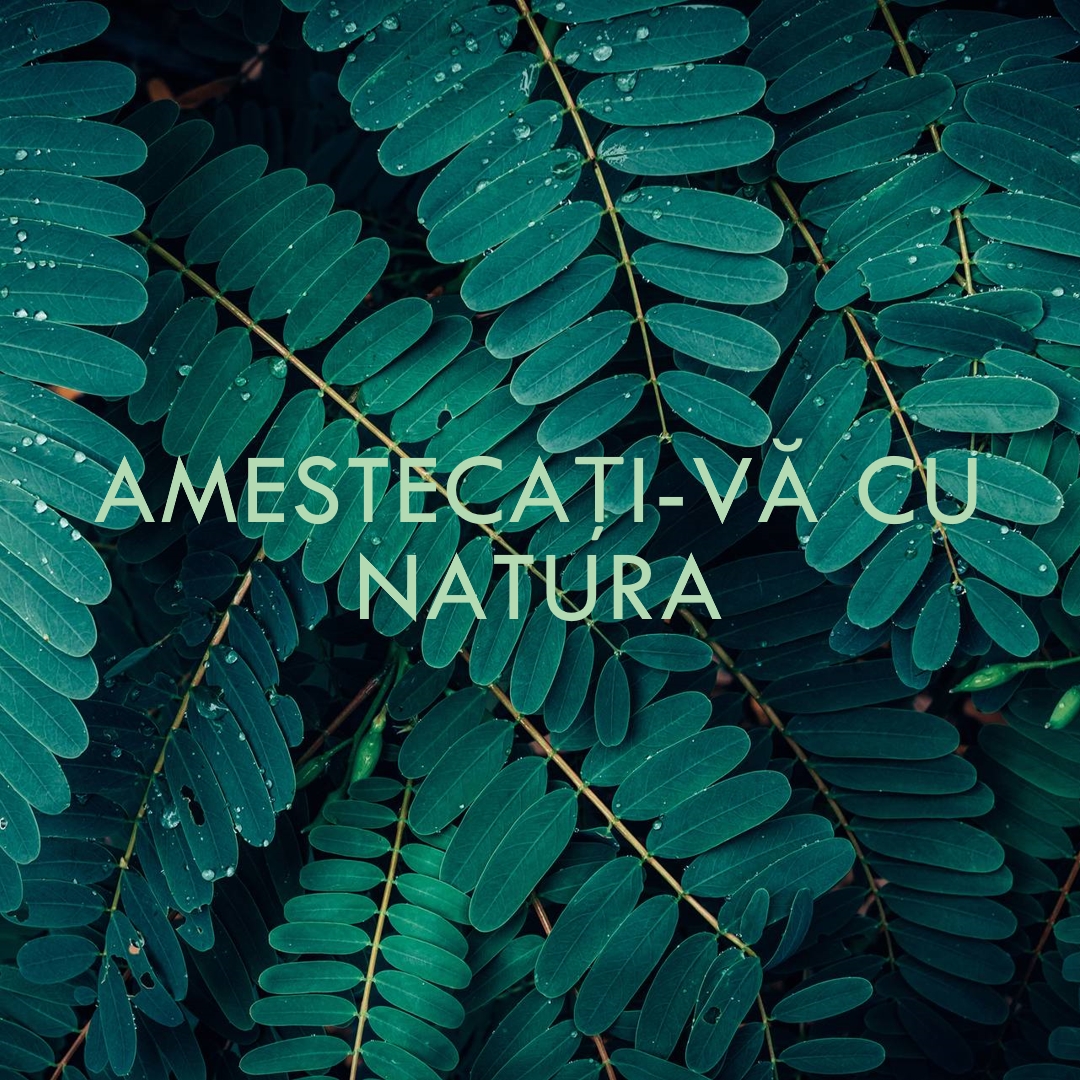 Amestecați-vă cu natura green modern-simple