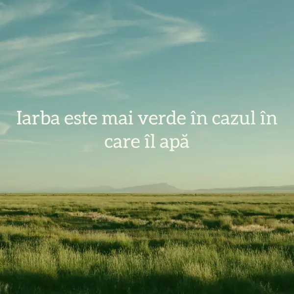 Natură mai bună blue modern-simple