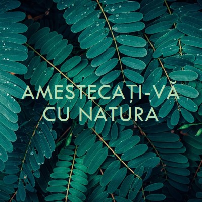 Amestecați-vă cu natura green modern-simple