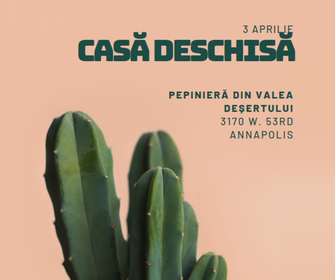 Casă deschisă pe 3 aprilie pink modern-simple