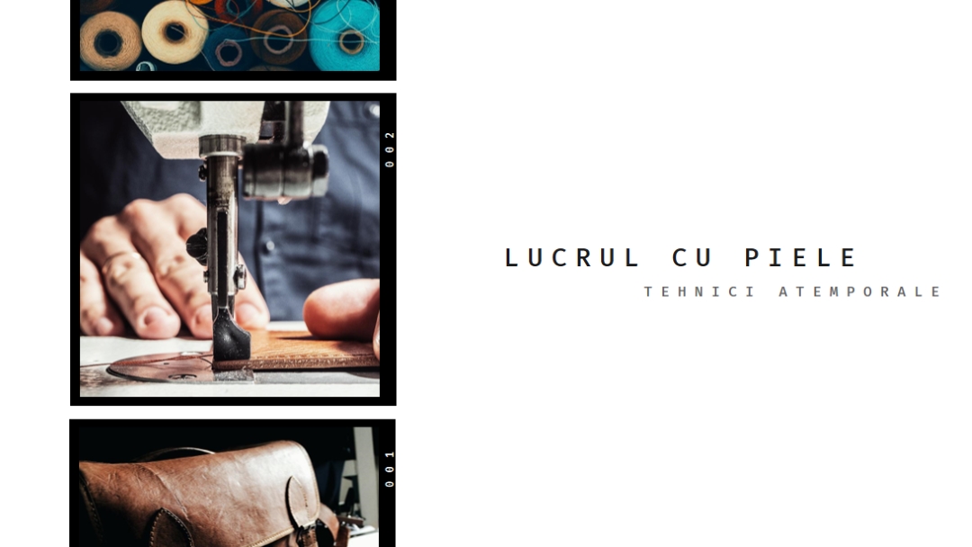 Lucrul cu piele white modern-simple