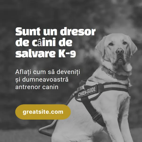 Sunt un dresor de câini de salvare black modern-simple