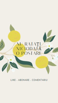 Nu ratați niciodată o postare gray vintage-botanical