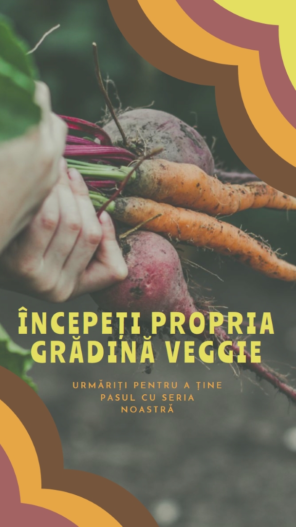 Viață dezrădăcinată orange vintage-retro