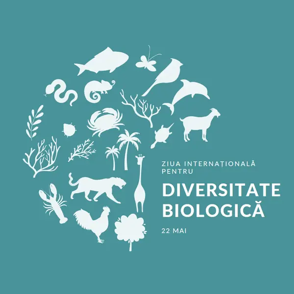 Sărbătoriți Ziua Mondială a Biodiversității blue modern-simple