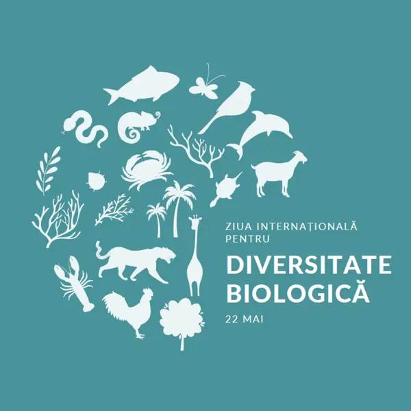 Sărbătoriți Ziua Mondială a Biodiversității blue modern-simple