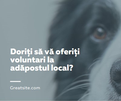 Voluntar și aduceți bucurie blue modern-simple