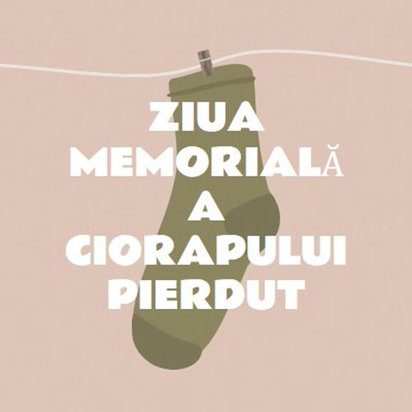 Ziua Memorială Sock Pierdut brown whimsical-color-block