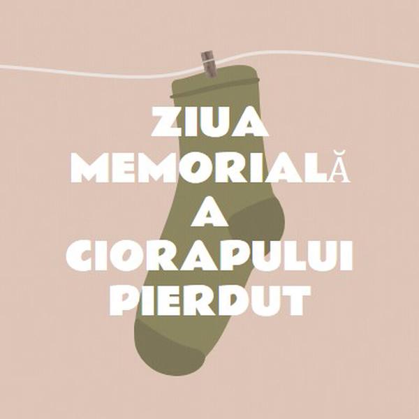 Ziua Memorială Sock Pierdut brown whimsical-color-block