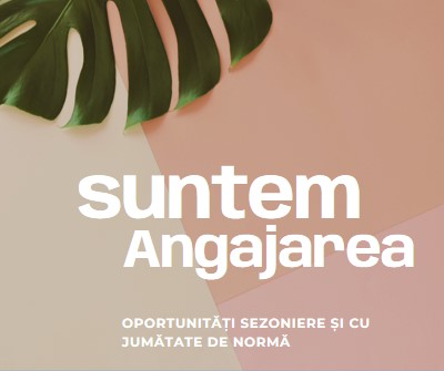 Angajăm lucrători sezonieri pink modern-simple