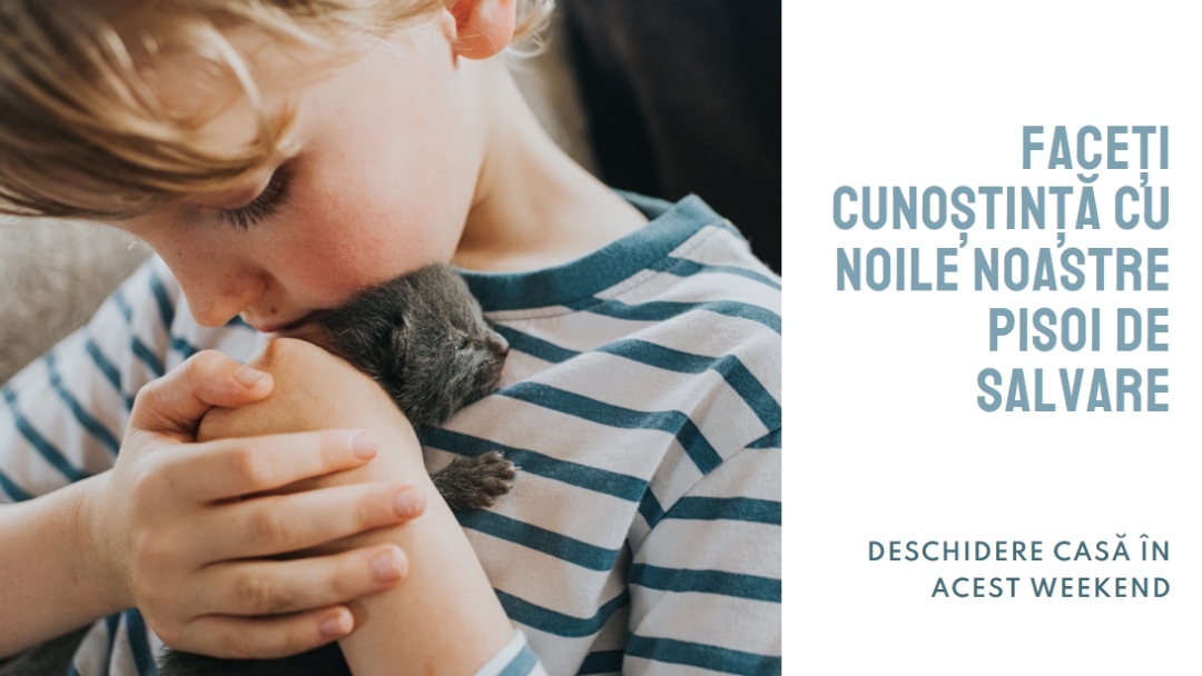 Faceți cunoștință cu noile noastre salvări pink modern-simple
