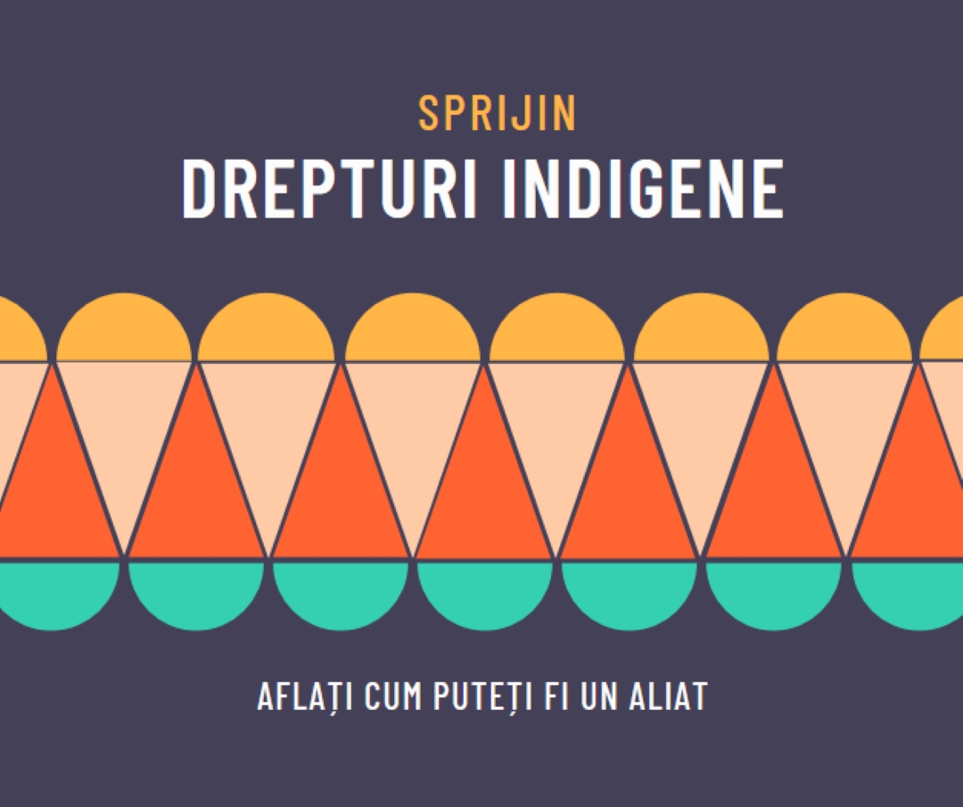 Sprijiniți drepturile indigene blue modern-color-block