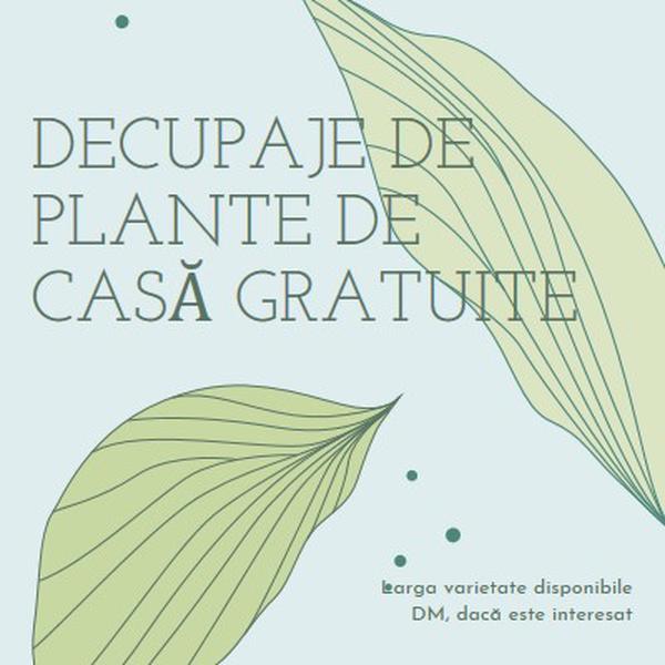 Decupaje de casă gratuite blue organic-simple