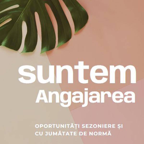 Angajăm lucrători sezonieri pink modern-simple