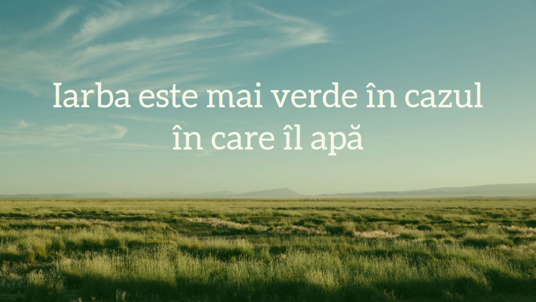 Natură mai bună blue modern-simple