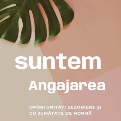 Angajăm lucrători sezonieri pink modern-simple