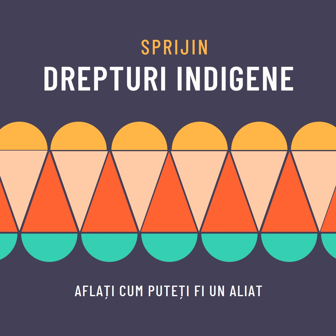 Sprijiniți drepturile indigene blue modern-color-block