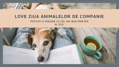 Cel mai bun prieten al tău gray modern-simple
