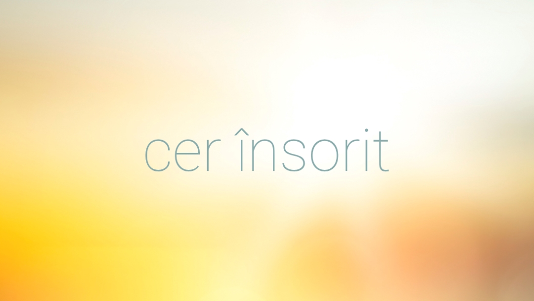 Ceruri însorite yellow modern-simple
