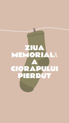 Ziua Memorială Sock Pierdut brown whimsical-color-block