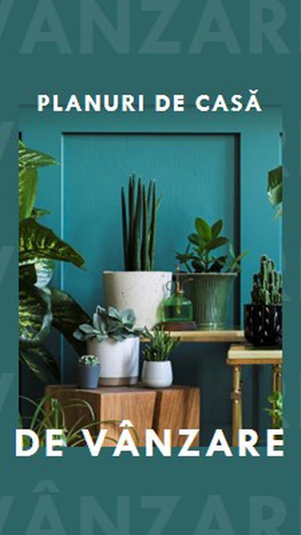 Electricitatea plantelor green modern-bold