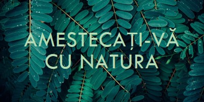 Amestecați-vă cu natura green modern-simple