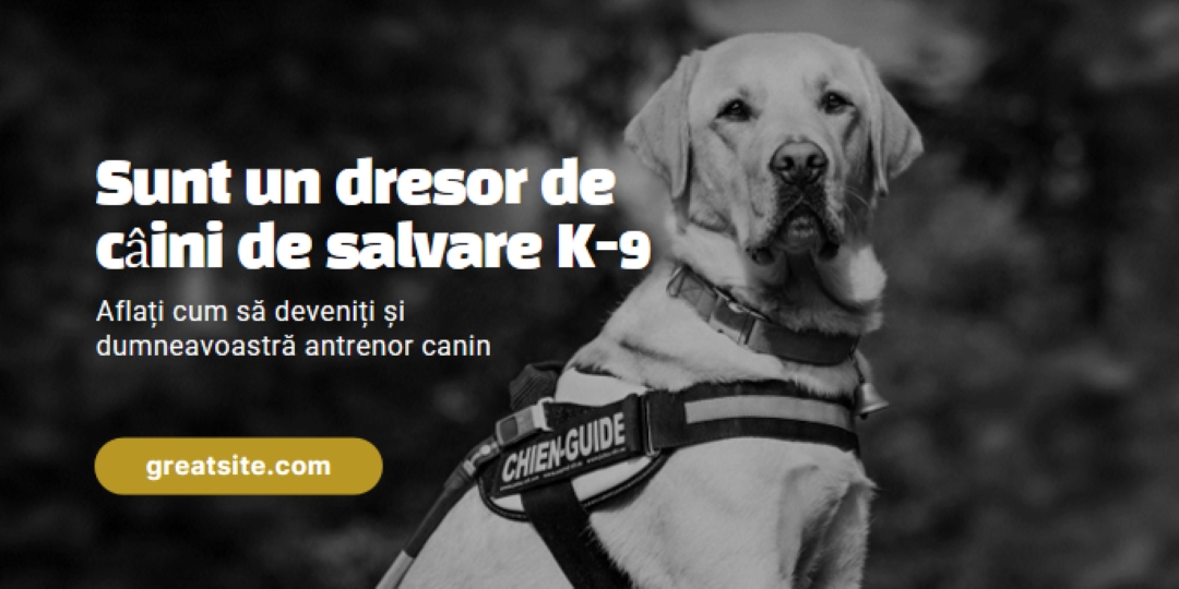 Sunt un dresor de câini de salvare black modern-simple