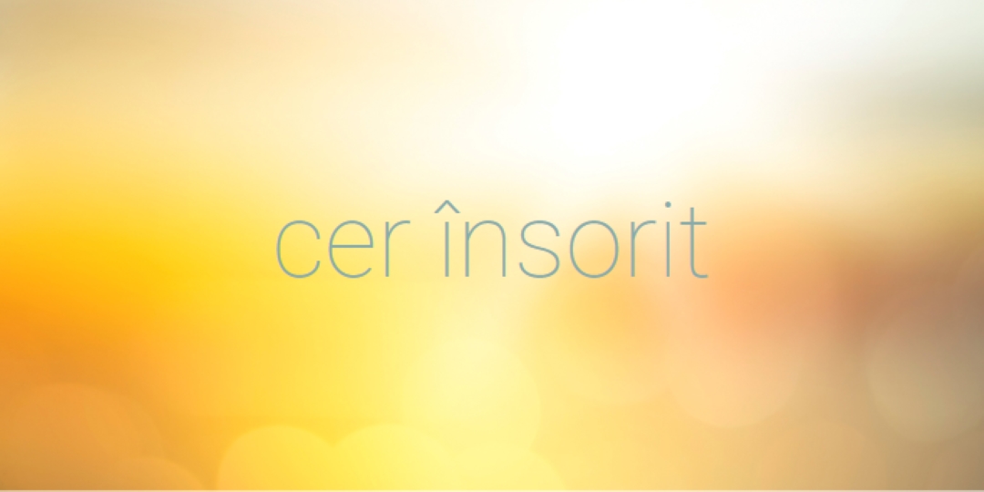 Ceruri însorite yellow modern-simple