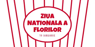 Ziua Națională a Florilor Florilor white whimsical-line