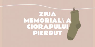 Ziua Memorială Sock Pierdut brown whimsical-color-block