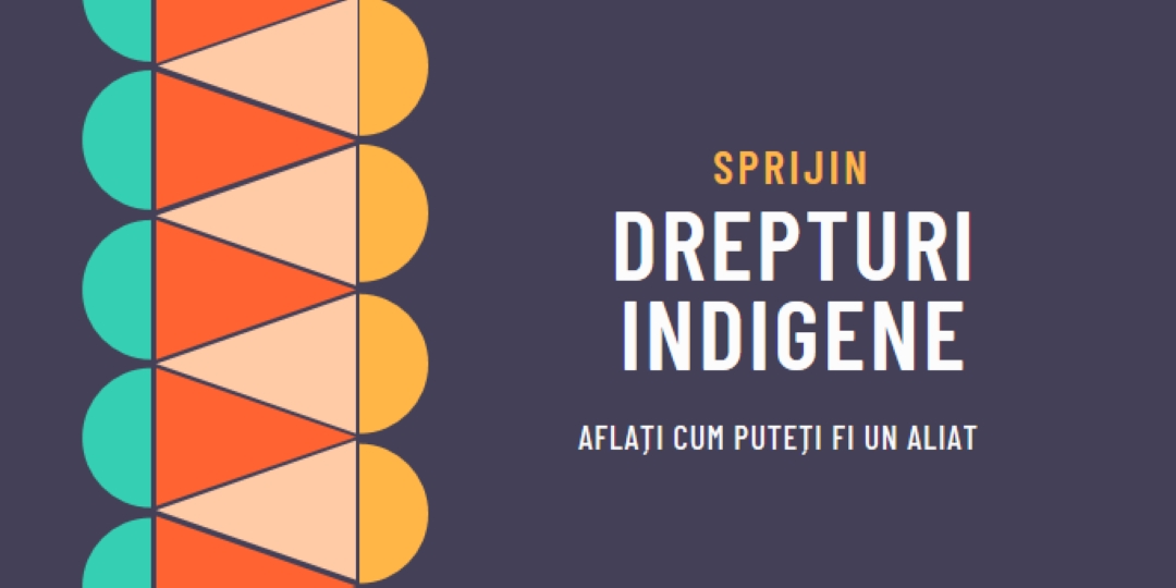 Sprijiniți drepturile indigene blue modern-color-block