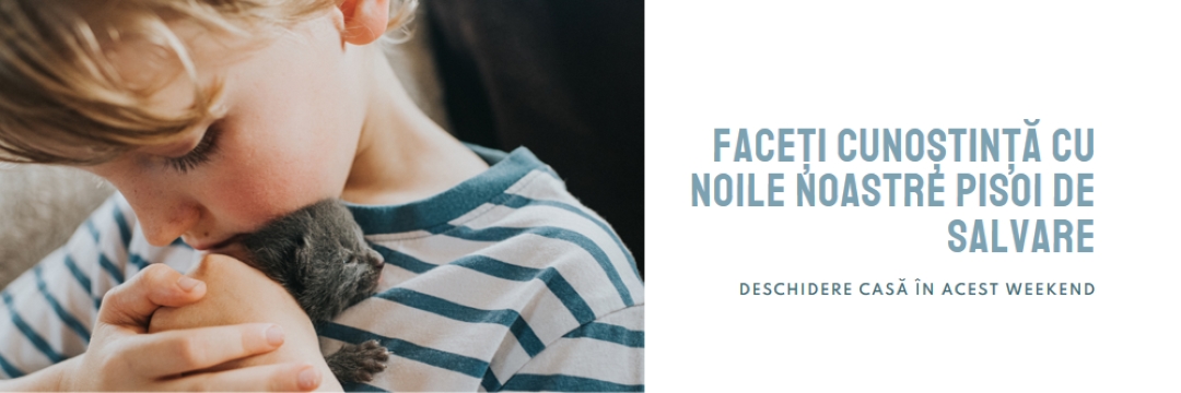 Faceți cunoștință cu noile noastre salvări pink modern-simple