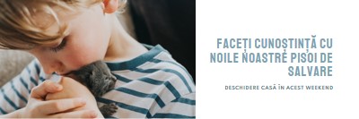 Faceți cunoștință cu noile noastre salvări pink modern-simple