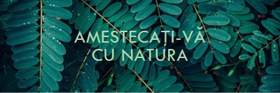 Amestecați-vă cu natura green modern-simple