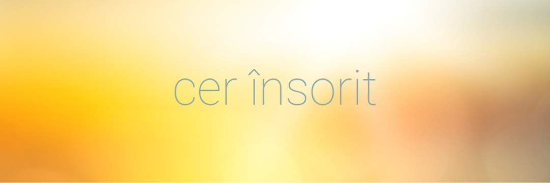 Ceruri însorite yellow modern-simple