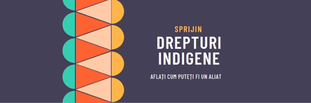 Sprijiniți drepturile indigene blue modern-color-block