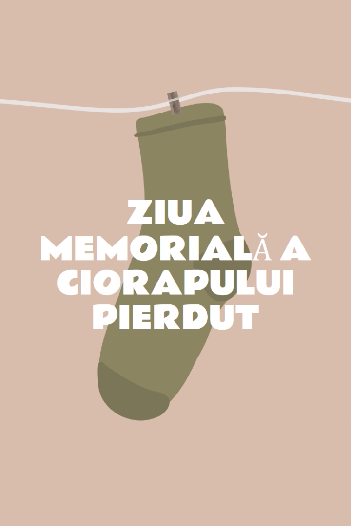 Ziua Memorială Sock Pierdut brown whimsical-color-block