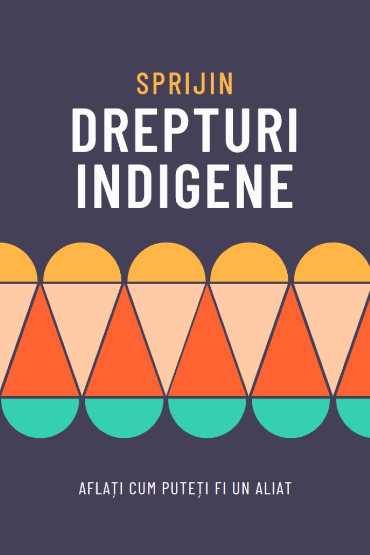 Sprijiniți drepturile indigene blue modern-color-block