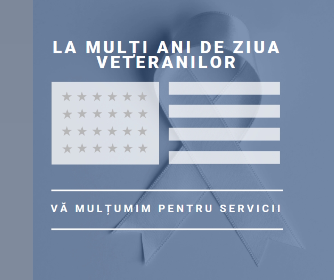 Onorarea veteranilor americani gray modern-simple