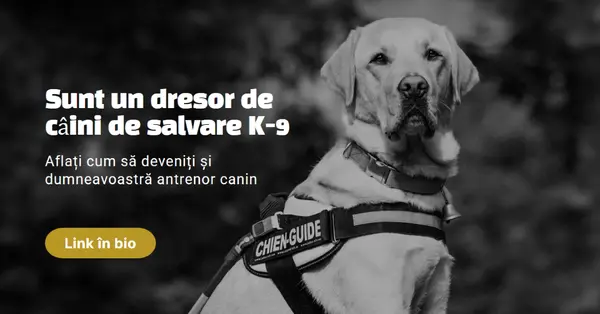 Sunt un dresor de câini de salvare black modern-simple