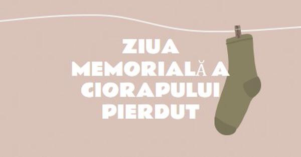 Ziua Memorială Sock Pierdut brown whimsical-color-block