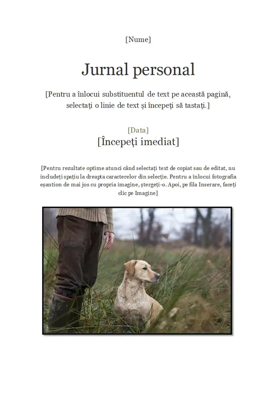 Jurnal personal