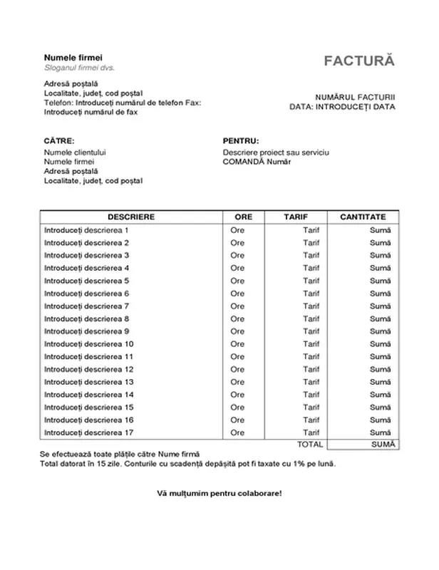Factură de servicii cu numărul de ore și tariful