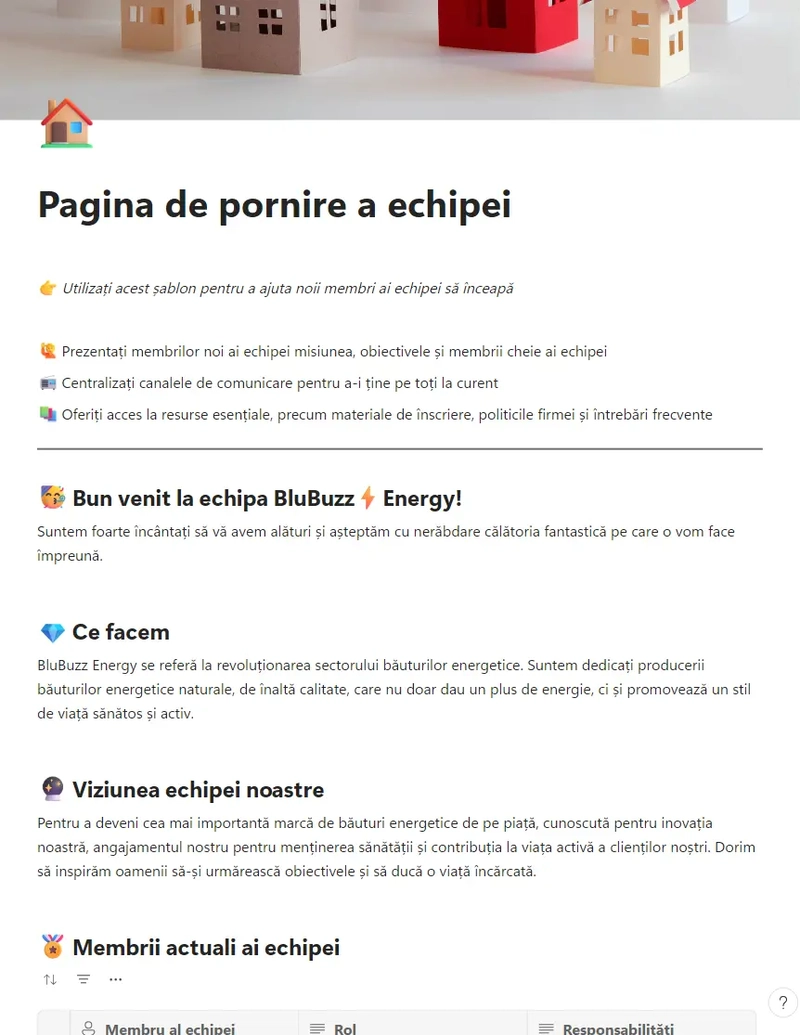 Pagina de pornire a echipei