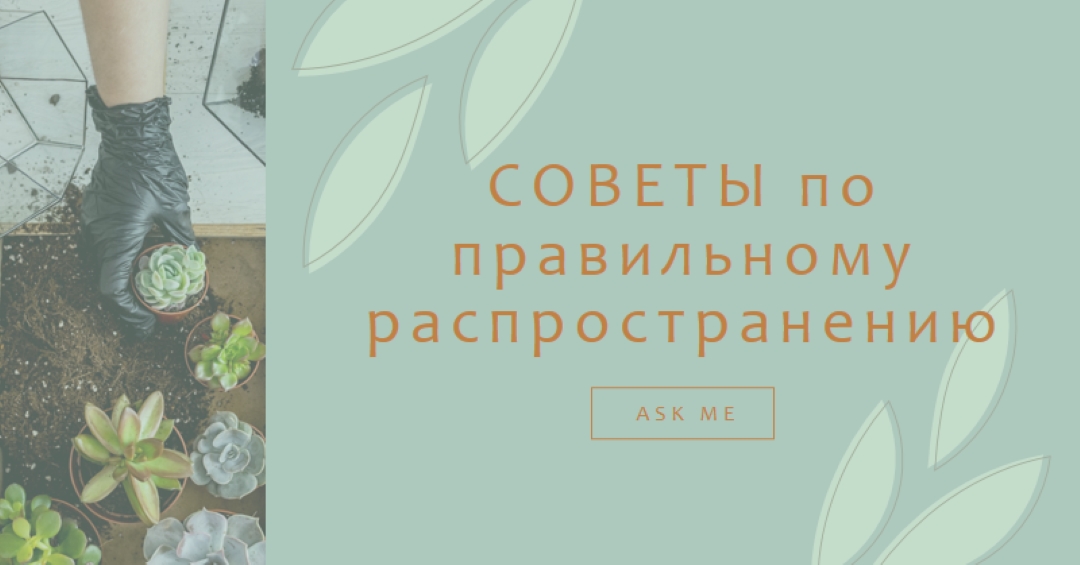 Просто сочный green organic-simple