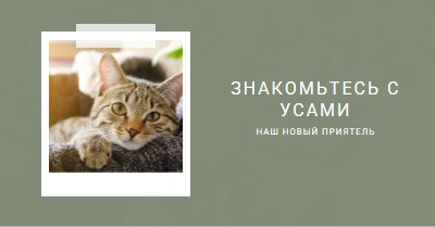 Познакомьтесь с нашим новым котом green modern-simple